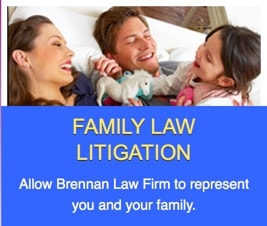 Family Law Litigation